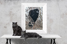 Load image into Gallery viewer, Are You Okay?