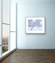Load image into Gallery viewer, White Silence
