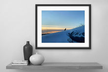 Load image into Gallery viewer, Solo