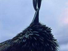 Load image into Gallery viewer, Raven Kiss