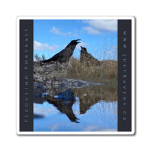 Load image into Gallery viewer, 'Fledgling Portrait #2" Magnet
