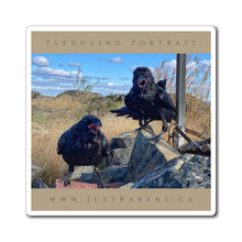 Load image into Gallery viewer, 'Fledgling Portrait #3' Magnet