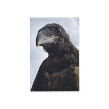Load image into Gallery viewer, 'Fledgling Portrait' Garden Banner (12" x 18")