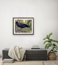 Load image into Gallery viewer, 2020 Fledgling Portrait #8