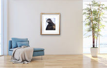 Load image into Gallery viewer, Fledgling Portrait 2019