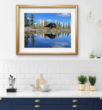 Load image into Gallery viewer, 2020 Fledgling Portrait #7