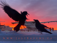 Load image into Gallery viewer, She’s Here!