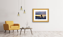 Load image into Gallery viewer, Prince of Back Bay