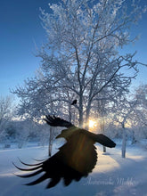 Load image into Gallery viewer, Photobomb