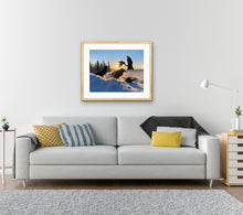 Load image into Gallery viewer, Play
