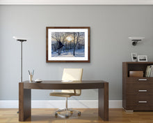 Load image into Gallery viewer, Quiet Flight