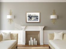 Load image into Gallery viewer, Silver Frost