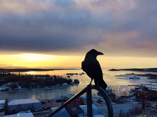 Load image into Gallery viewer, Prince of Back Bay