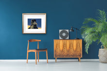 Load image into Gallery viewer, Leonard