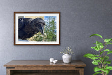 Load image into Gallery viewer, 2020 Fledgling Portrait #10