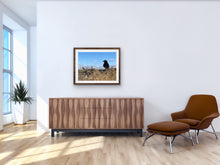 Load image into Gallery viewer, 2020 Fledgling Portrait #4