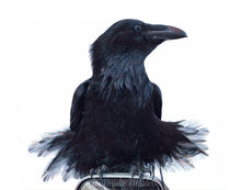 Load image into Gallery viewer, Marilyn