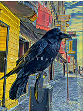 Load image into Gallery viewer, Gold Range Raven