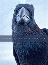 Load image into Gallery viewer, Longing