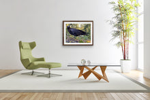 Load image into Gallery viewer, 2020 Fledgling Portrait #8