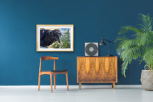 Load image into Gallery viewer, 2020 Fledgling Portrait #10