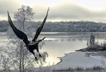Load image into Gallery viewer, Silver Frost