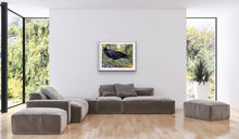 Load image into Gallery viewer, 2020 Fledgling Portrait #8