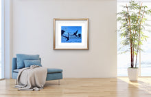 Load image into Gallery viewer, Celebration of Life