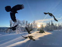 Load image into Gallery viewer, Ballet in Blue