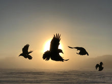 Load image into Gallery viewer, Sun Dancers