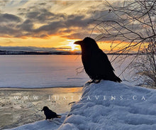 Load image into Gallery viewer, Watching the Lake Freeze