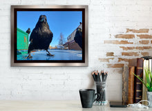 Load image into Gallery viewer, Tough Guys