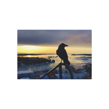 Load image into Gallery viewer, 'Prince of Back Bay' Metal Print