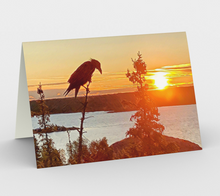 Load image into Gallery viewer, 'Scruffy Fledgling' Art Cards (Set of 3)