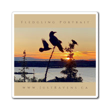 Load image into Gallery viewer, 'Fledgling Portrait #9' Magnet
