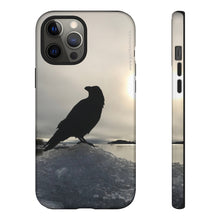 Load image into Gallery viewer, ‘Land of Ravens, Gold and Diamonds’ Tough Case
