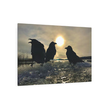 Load image into Gallery viewer, 'Ravens on Ice' Metal Print