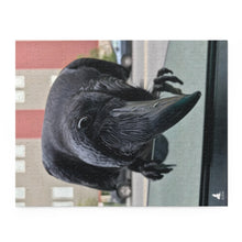 Load image into Gallery viewer, 'Co-Pilot' Jigsaw Puzzle (120, 252, 500-Piece)