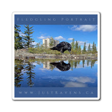 Load image into Gallery viewer, 'Fledgling Portrait #7' Magnet