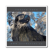 Load image into Gallery viewer, 'Frosty Face' Magnet