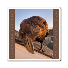 Load image into Gallery viewer, 'Fledgling Portrait #1' Magnet