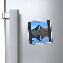 Load image into Gallery viewer, 'Fledgling Portrait #2" Magnet