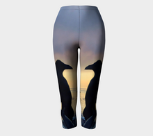 Load image into Gallery viewer, 'Prince of Back Bay' Capris