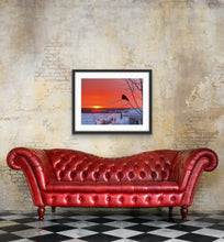 Load image into Gallery viewer, Sebastian at Dawn