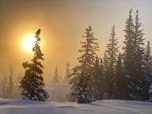 Load image into Gallery viewer, Fifty Below