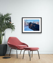 Load image into Gallery viewer, The Call