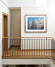 Load image into Gallery viewer, Sebastian at Dawn II