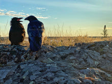 Load image into Gallery viewer, Father and Son