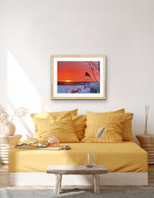 Load image into Gallery viewer, Sebastian at Dawn