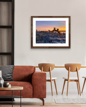 Load image into Gallery viewer, Foxtrot
